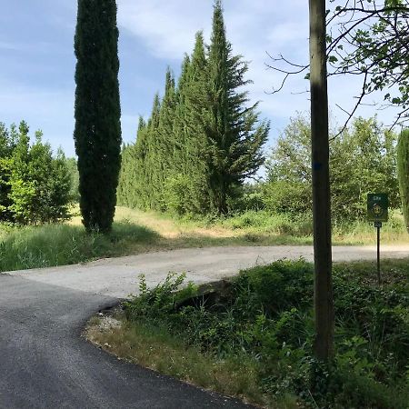 Le Jardin D'Erables St Remy 7 Ha Piscine/Clim Villa Paluds de Noves Exteriör bild