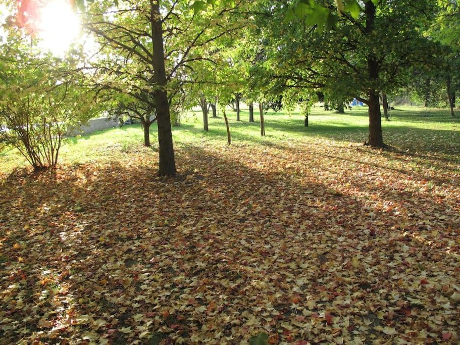 Le Jardin D'Erables St Remy 7 Ha Piscine/Clim Villa Paluds de Noves Exteriör bild