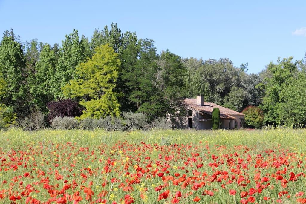 Le Jardin D'Erables St Remy 7 Ha Piscine/Clim Villa Paluds de Noves Exteriör bild