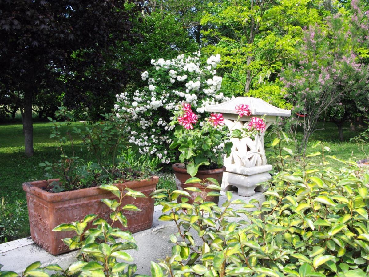 Le Jardin D'Erables St Remy 7 Ha Piscine/Clim Villa Paluds de Noves Exteriör bild